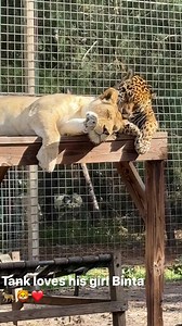 53K views · 1.5K reactions | Single Vision, Inc. on Reels | Facebook