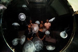 One of the most thought-provoking piece of art in 2219: Futures Imagined is Rimini Protokoll’s immersive installation, win>