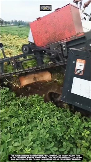 Operating peanut harvester in farmland fast harvest worktool peanut machine