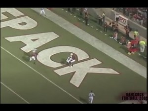 2009 South Carolina Football Season Highlights - Gamecocks