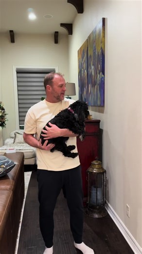 Doggy Wall Challenge: Watch Rosey Tackle Obstacles