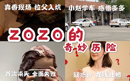 Vlog|zozo的奇妙历险|当老父亲沉迷游戏|学车|某宝莲差点把我逼疯