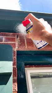 591K views · 4.9K reactions | Life hack- and it works like a charm!! WD40 does it all! #LifeHack #DIY #bugs | Nik and Liv DIY | Facebook