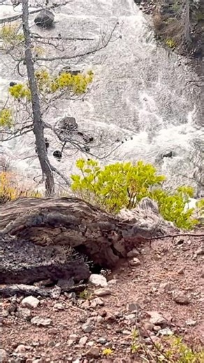 Breath of Nature!! Watch Manzanita Dance in the Wind!! Rushing River in the distance!!