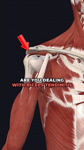136K views · 1.1K reactions | ✅Biceps Tendonitis Fix (Memorial Day SALE 15% off with code “RTC15” here ➡️ www.theptinitiative.com/shoulderprogram ) | The PT Initiative | Facebook