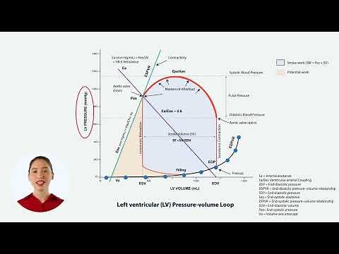 What is the End-diastolic Pressure Volume Relationship (EDPVR)