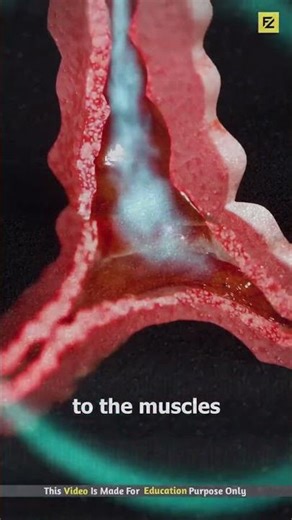 How Asthma Inhalers Save Lives: 3D Animation Explained