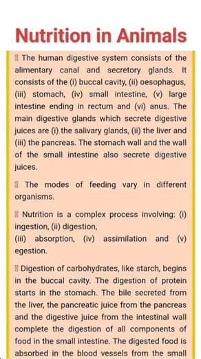 Nutrition in Animals | Digestion | Digestive system|