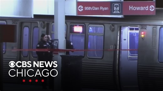 2 men stabbed in neck during fight on CTA Red Line train