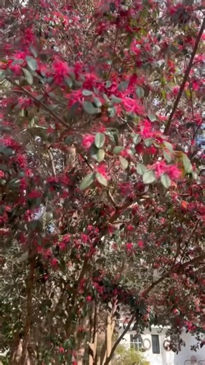 Gantts Home Cooking on Reels