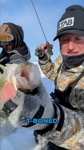 91K views · 841 reactions | Not good to be a Psycho Shad around a horde of angry Red Lake crappies! 亂 Red Lake crappies that feed on shiners all winter long have no problem choking a Psycho Shad!  Awesome video, Sam Sobi Fishing! | Clam Outdoors | Facebook