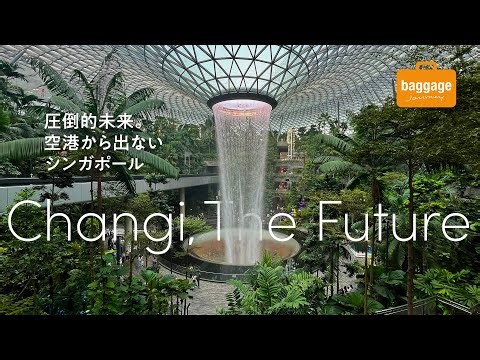空港から出ないシンガポール チャンギ空港で未来に触れる｜Changi, The Future