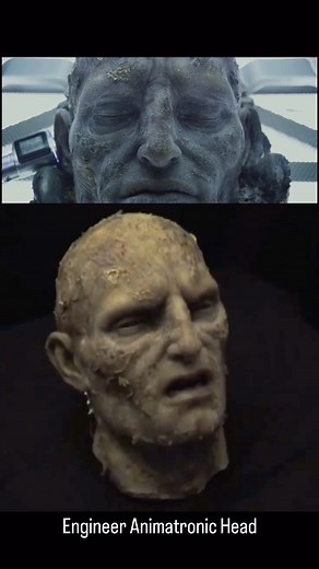 Alien the 8th Passenger on Instagram: "Engineer Animatronic Head Prometheus (2012) By Gustav Hoegen / Biomimic Studio #alien #alienmovie #alienthe8thpassenger #inspacenoonecanhearyouscream #prometheus #ridleyscott #animatronic #practicaleffects #practicalfx #scifihorror #spacehorror"