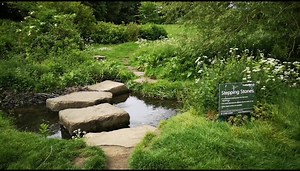 18K views · 97 reactions | HIDDEN GEM! Secret stepping stones of...