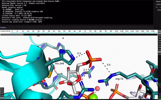 用PyMOL做一个视频