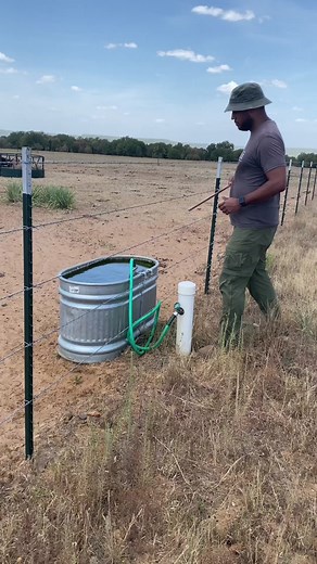 A copper rod killed the algae in our water trough. #farmhack #scienceexperiments #farmlife