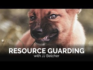 Dog Behavior: Resource Guarding