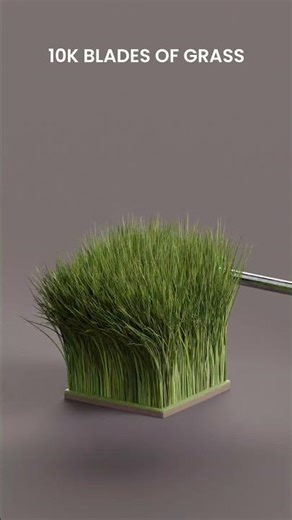 Blades of Grass Hair Particles Blender #3dart #3danimation #blender3d #blenderanimation