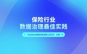 保险行业数据治理最佳实践案例分享