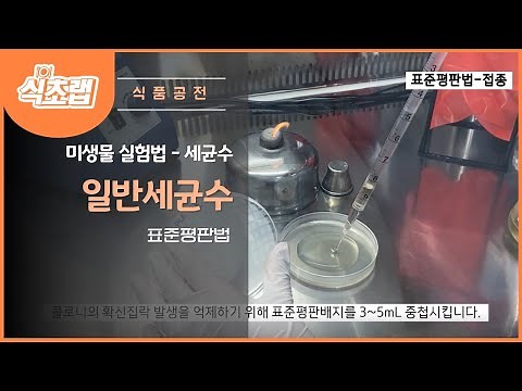 MBcell 식품공전 일반세균수 시험법 ( 표준평판법-중첩 )