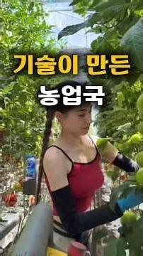🇳🇱 네덜란드는 왜 농업이 강할까 : 작은 나라의 전략