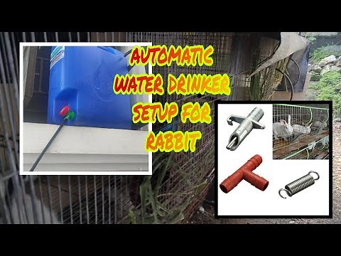 Rabbit water system tutorial | How to install nipple drinker for Rabbit | Backyard Rabbitry