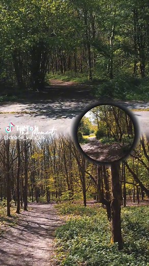 Capturing Aerial Wonders with Drones