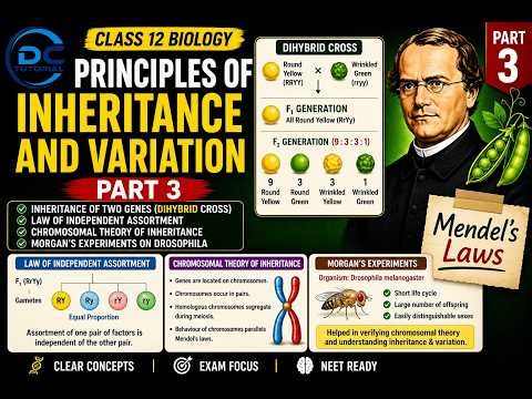 CBSE Class 12 | Principles of Inheritance and Variation | Part 3