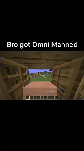 Minecraft Meme