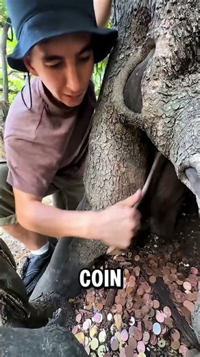 This Tree Is Full of Real Money 😳🌳