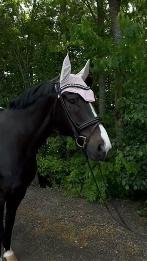 Kentucky underlag "Velvet Pearls" - Soft Rose - Lundemøllen