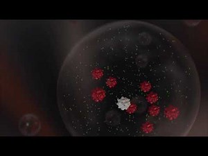 Humidity & Health Part 1: Virus Survival in Dry Air