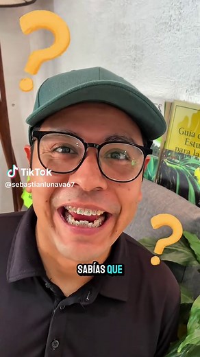 Encinos de México: Curiosidades sobre los robles nativos