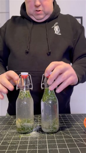 Making soda with Douglas Fir pine needles + sugar water 🧪🥤#shorts #soda #sodapop