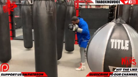 Custio Clayton 18-0-1 12KO'S Workout: Heavy Bag & Mitts Training 🥊