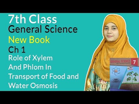 Class 7 General Science Chapter 1- Role of Xylem and Phloem in Transport of Food and Water Osmosis