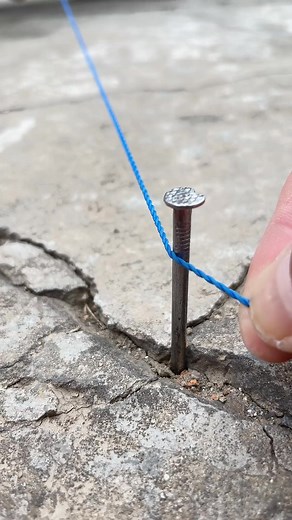 182K views · 459 reactions | Tips hacks #tips #hacks #diy #life | Green ART | Facebook