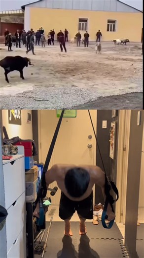 Jzeus | Who bump who? #gym #gymrat | Instagram