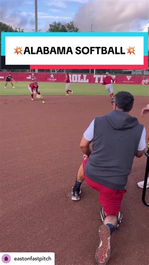 Mastering Softball Basics for Elite Defense