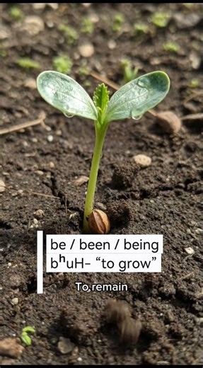 “To Be” Isn’t One Verb. It Never Was.