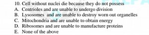 Cell without nuclei die because they do not possessA. Centriol... | Filo