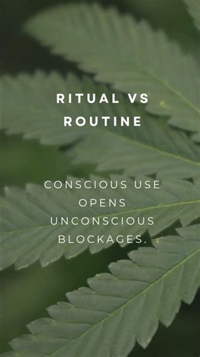 Ritual vs Routine