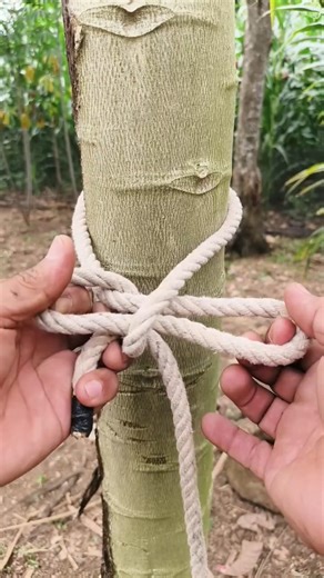This knot is attractive in the map of the world! 🌎