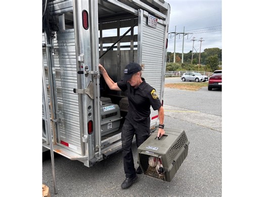 More Than 100 Animals Rescued From MA Property: MSPCA