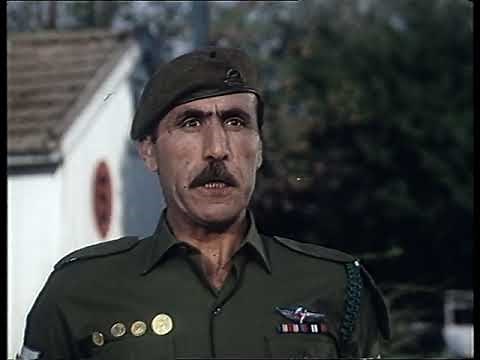 Lemon Popsicle 4 Private Manoeuvres Sababa