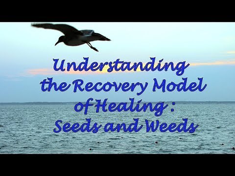 Understanding the Recovery Model of Healing: Seeds and Weeds