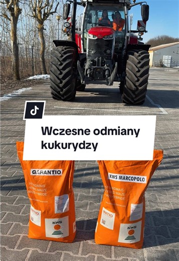 Za chwilę siewy kukurydzy, macie już wybrane odmiany? Inwestujecie w tym roku w odmiany wczesne? #kws #kukurydza #siew #rolnictwo