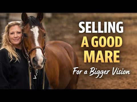 Selling My First Mare to Build a Futurity Program