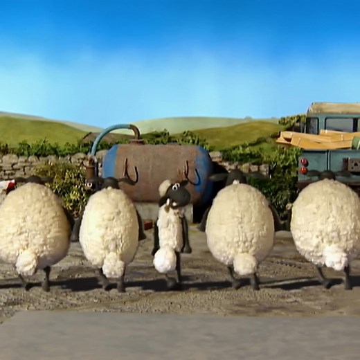 681K views · 16K reactions | Irish Dancing! #ShaunTheSheep #Shaun #Sheep #OggyAndTheCockroaches #ZigandSharko #Diwali #दीपावली #धनतेरस #dipawali #करवाचौथ | Zig and sharko Fans | Facebook