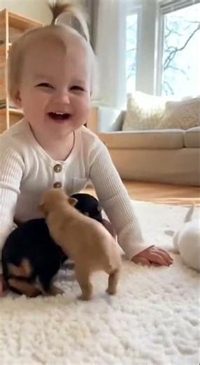 Cute Baby Barks—Puppies Attack With Love! 😂❤️🐶 #shorts #viralshorts #fun #pets #puppy